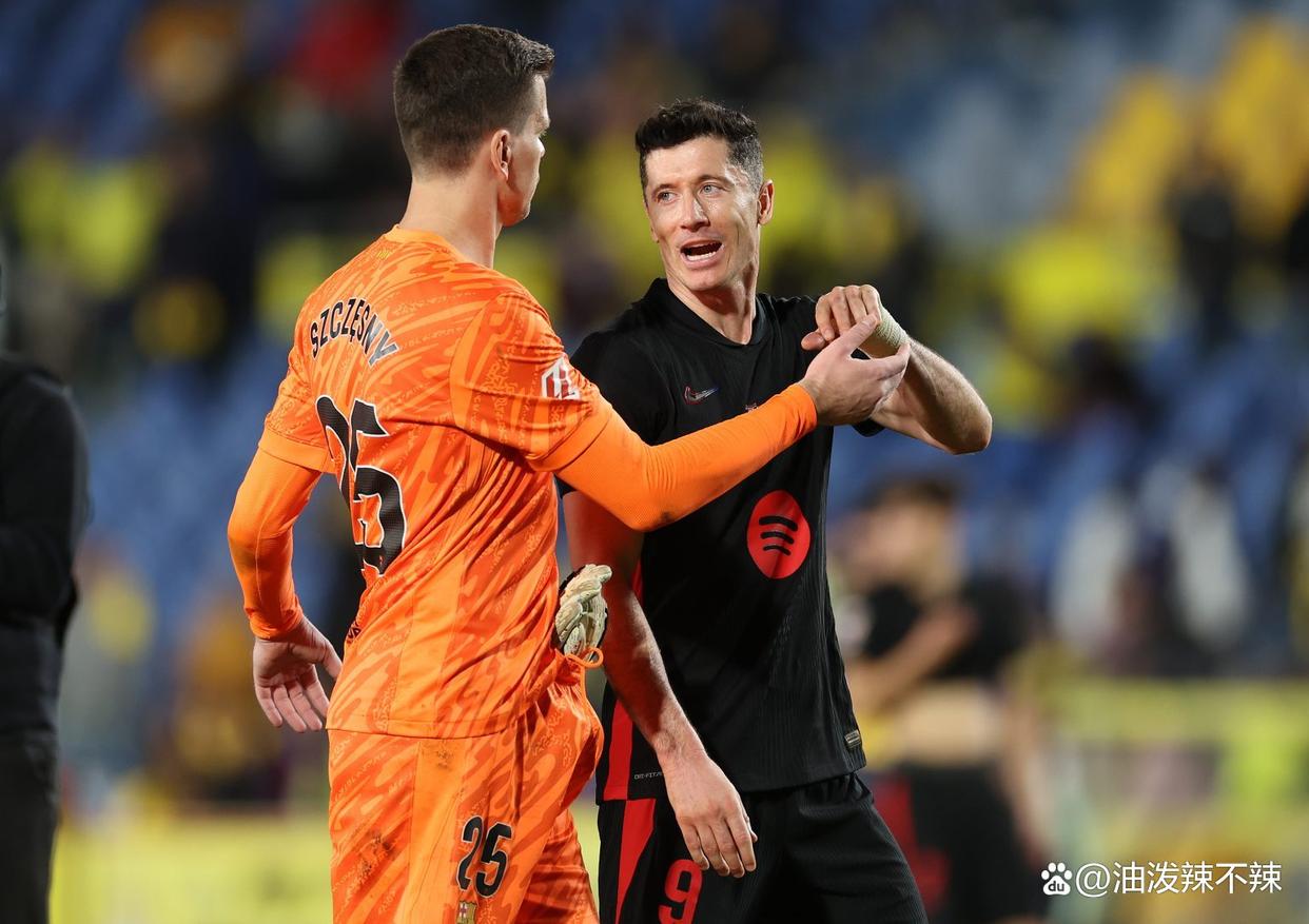 皇冠体育官网-莱万多夫斯基新星败北表现突出，TES前途光明！观众掌声雷动-皇冠体育官网